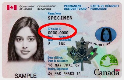 pr card