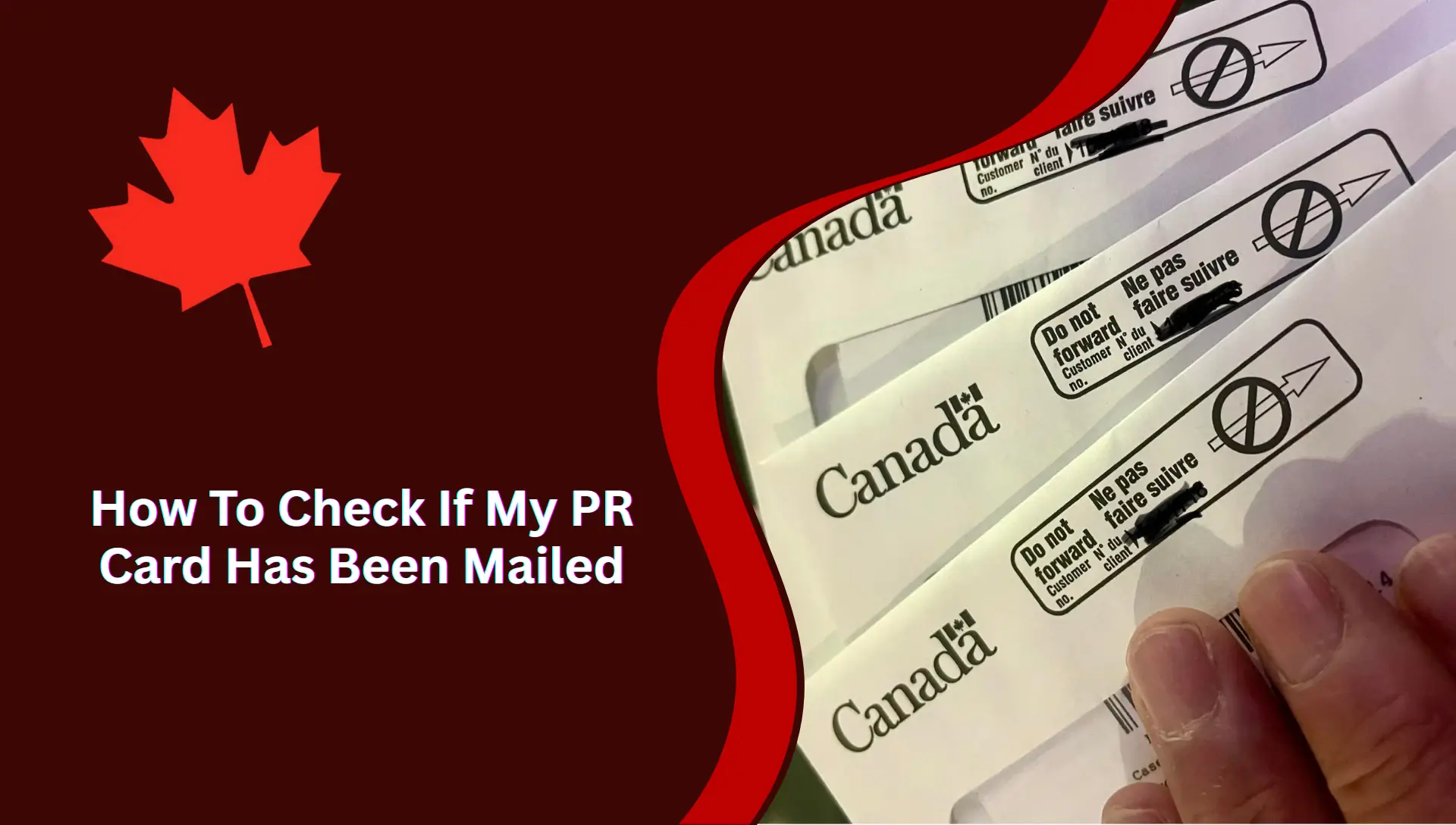 Check If My PR Card Has Been Mailed