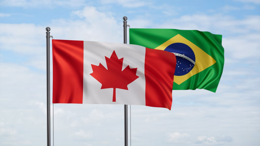 What is Brazil eVisa?