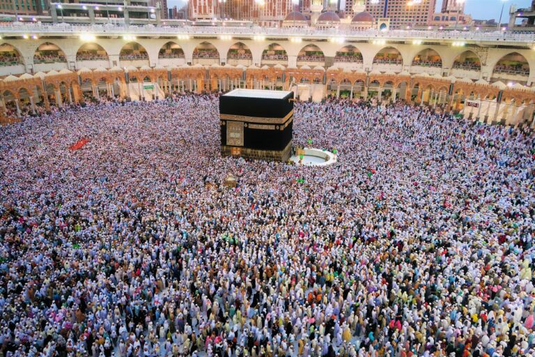 What the Saudi eVisa Allows