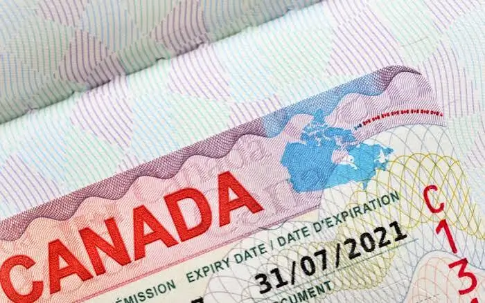 SIFC Visa